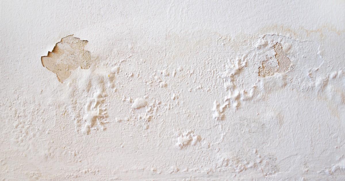 Stukadoor in Apeldoorn werkt aan het herstellen van beschadigd stucwerk voor een nette afwerking